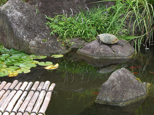Kamakura