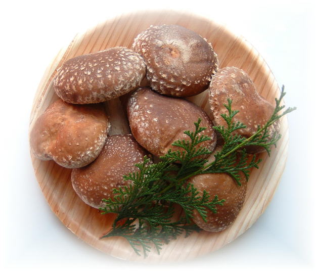 Shiitake