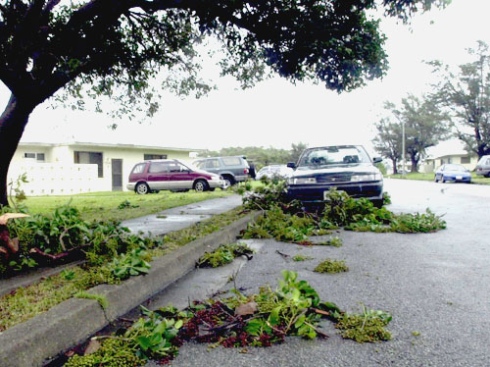 Typhoon in Japan
