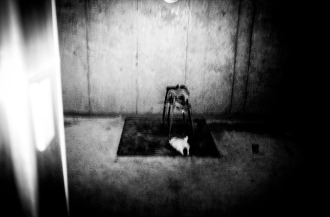 Bank Vault
