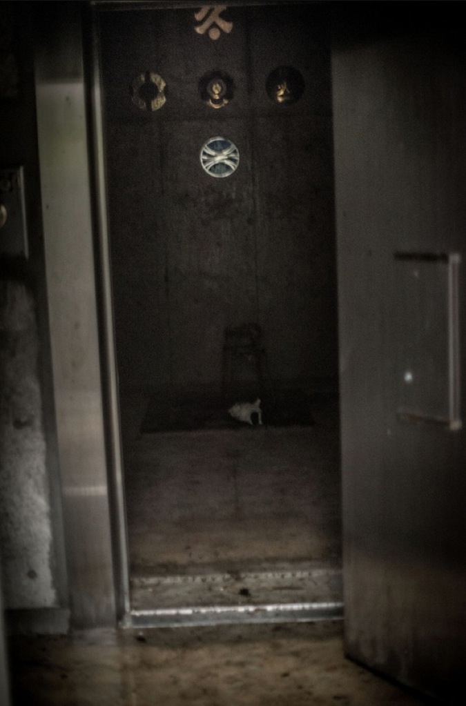 Bank Vault