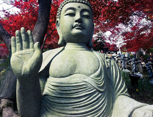 Ooyama