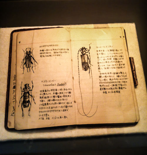 Tezuka Osamu