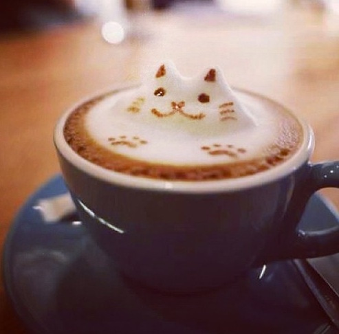 Cafe