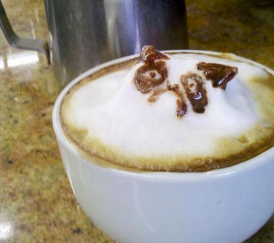 Cafe
