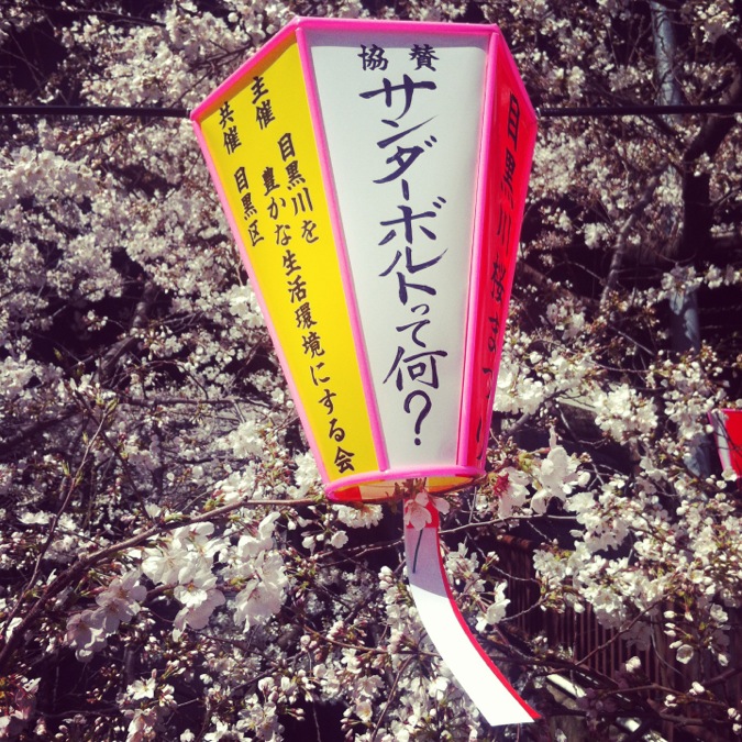 Sakura