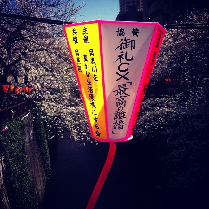 Sakura