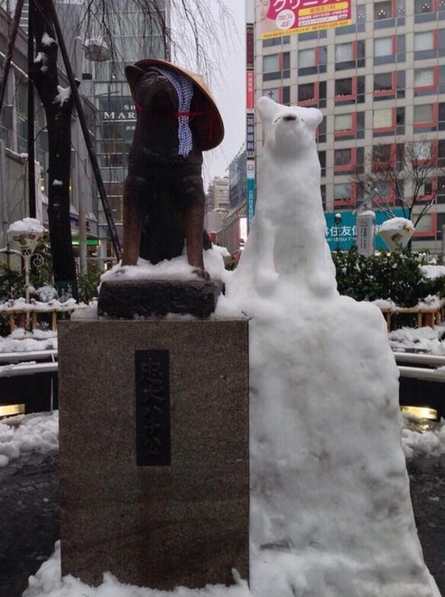 Nieve