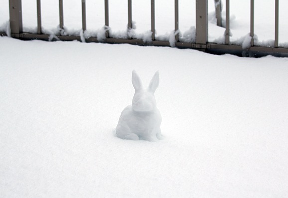 Nieve