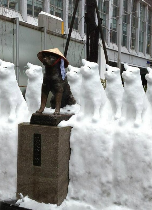 Nieve