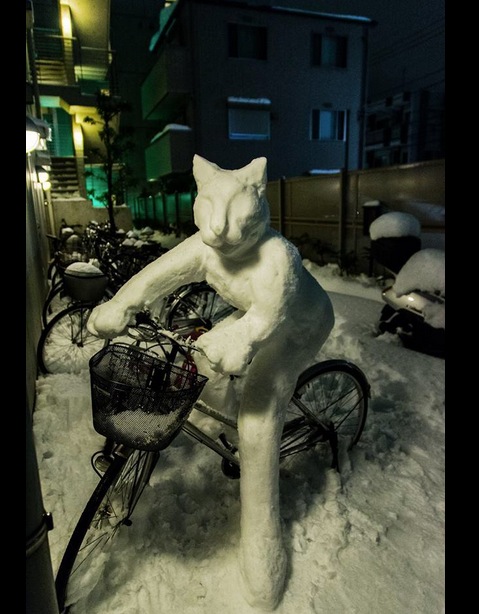 Nieve