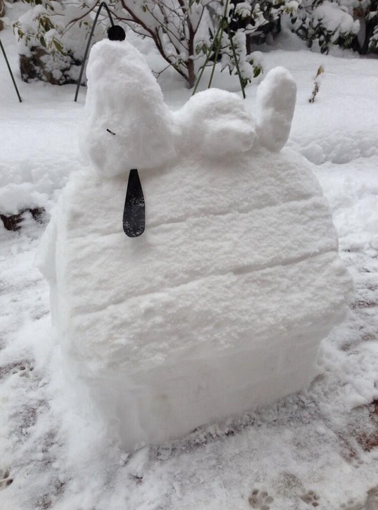 Nieve
