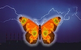 Efecto mariposa