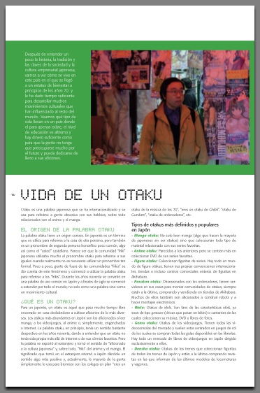 Un geek en Japón