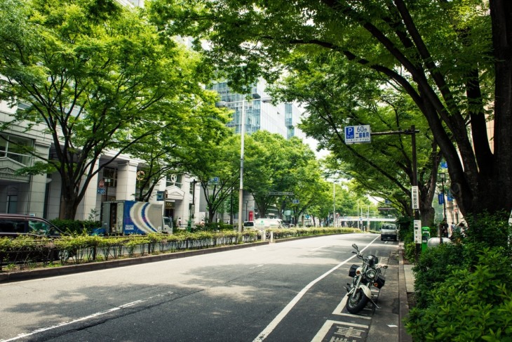 omotesando6
