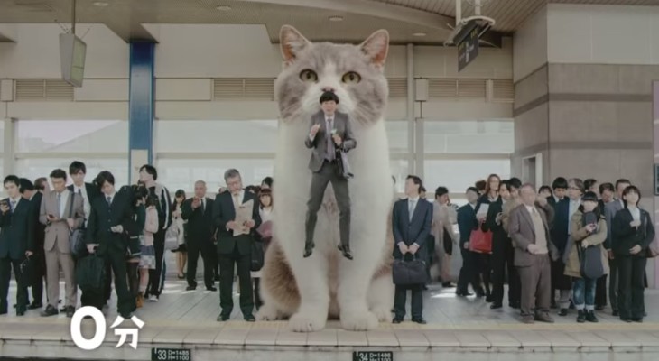 gatogigante