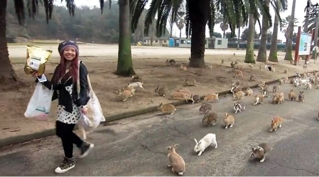 conejos