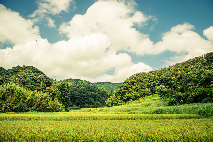 satoyama1