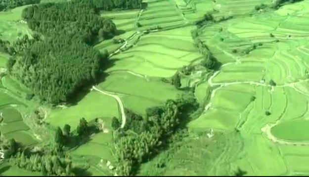 satoyama11