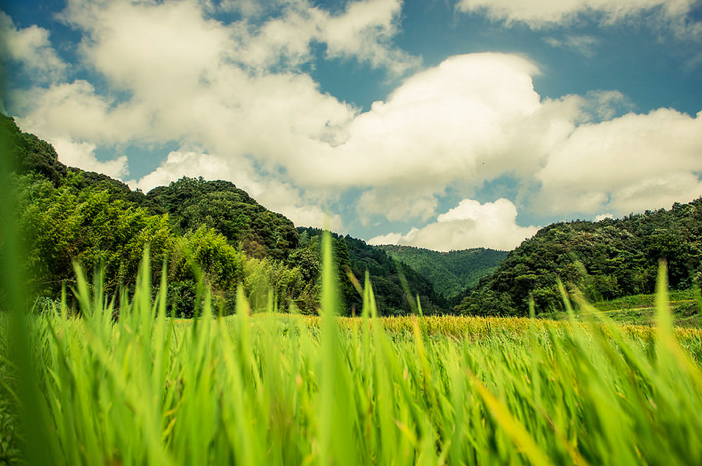 satoyama4