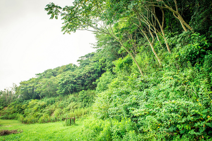 satoyama7