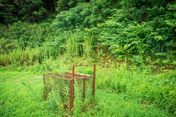 satoyama8